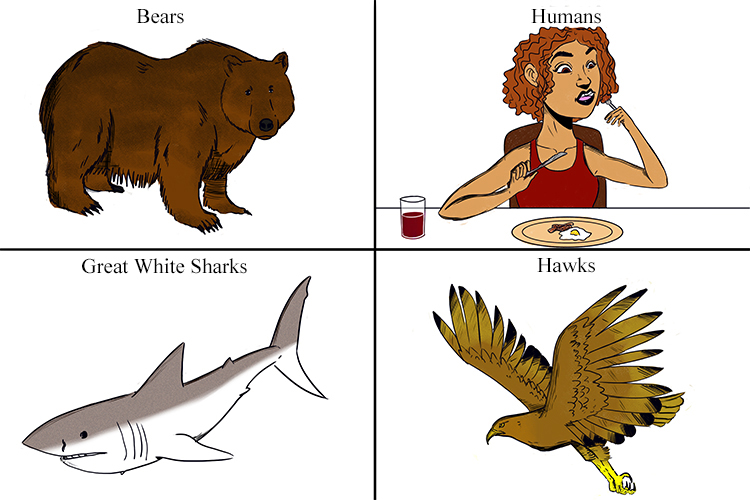 Organisms on the third trophic level are tertiary consumers usually carnivores but some omnivores